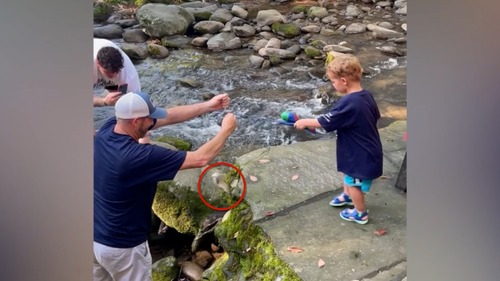 3-åringen får fisk på kroken - så kommer denne frem